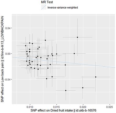 Dried fruit intake causally protects against low back pain: A Mendelian randomization study